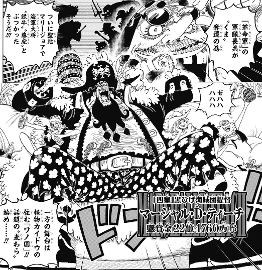 ワンピースの黒ひげって悪魔の実の能力を2つ持ってるのに懸賞金低く